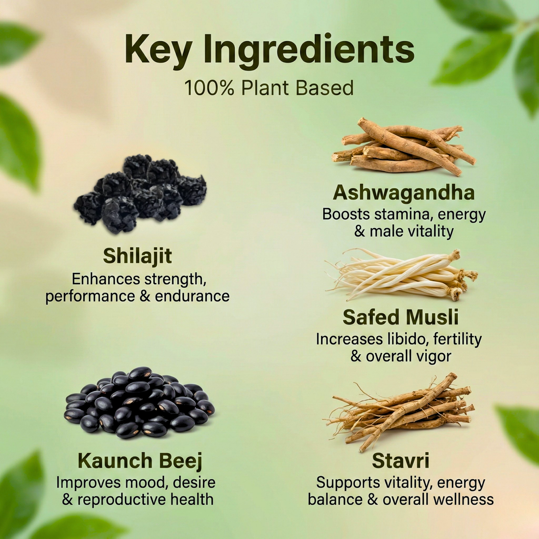 Pack of 2 Power Boost | Ayurvedic Stamina & Vitality Booster for Men | 60 Capsules | Full 1 Month Course